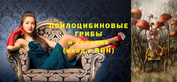 гидропоника Верхний Тагил
