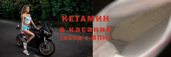 прущие грибы Бронницы