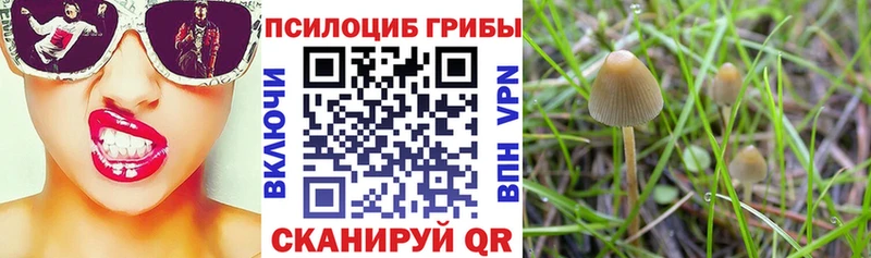 Купить  Волчанск  Галлюциногенные грибы ЛСД 